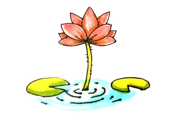 漂亮的荷花简笔画画法
