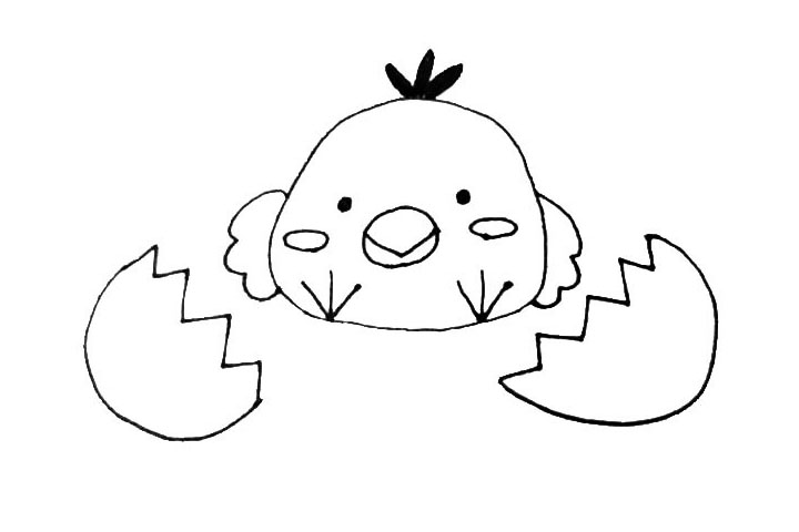 步骤6：用小折线分别连接起来，形成破开的蛋壳。