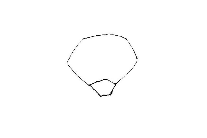 步骤2：在五边形的上面用线条画出一个较为硬朗的圈。