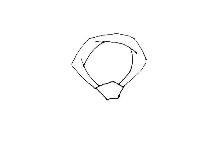 步骤3：在圈里面，画上几条线条相互交错开来。