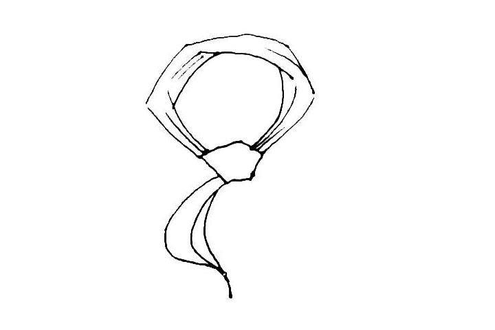 步骤5：红领巾的下面，先画出一条曲线，然后左右两边再画出一条曲线，注意一长一短。