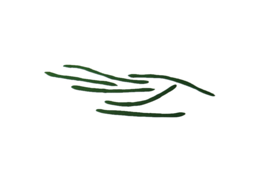 步骤2：搓几根深绿色长条，作为花纹。