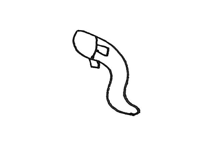 步骤2：然后用弧线画出它的头，加上两个方形的鱼鳍。