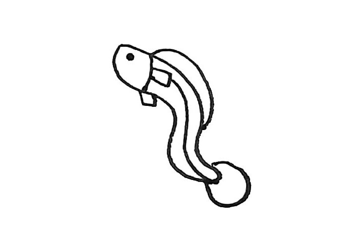 步骤4：接着用弧线画出背鳍和尾巴。