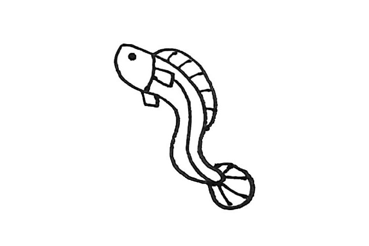 步骤5：然后给背鳍和尾巴加上断线的结构。