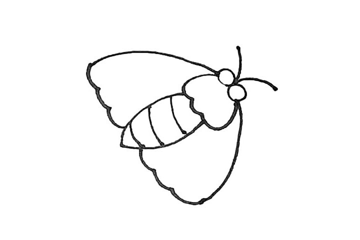 步骤5：再将它们与眼睛的部位连接起来形成翅膀，以及用弧线画上两根触角。