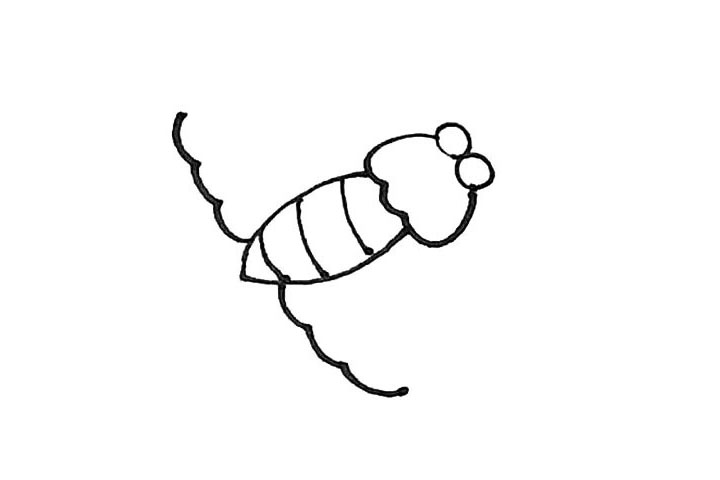 步骤4：接着在尾部两边，先画上两条小弧线，注意弧度。