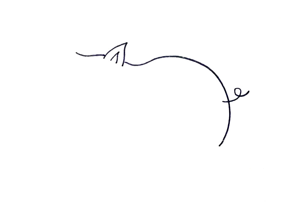 步骤1：先画出猪妈妈的背部轮廓。