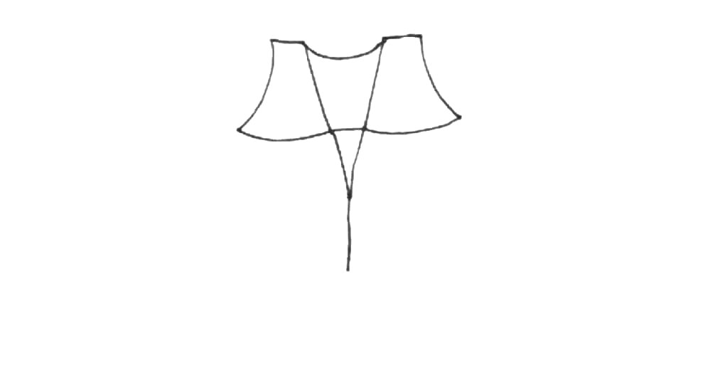 步骤3：两边画上短线，再用弧线画出这样的形状。