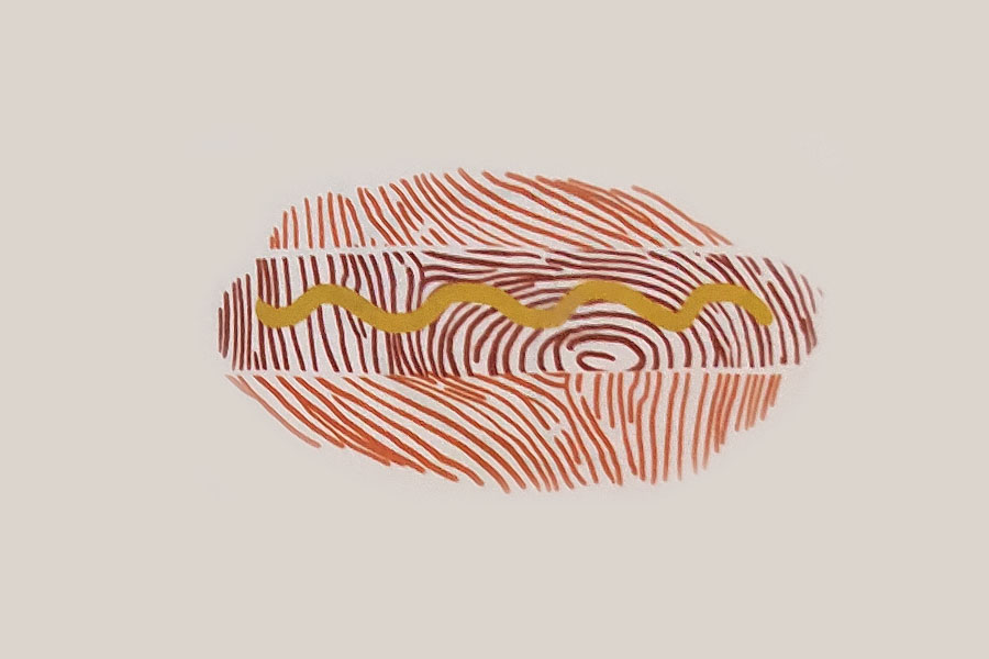 热狗手指画画法