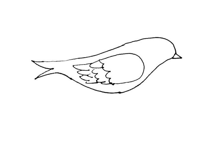 步骤6：尾巴上的羽毛，用一条大折线画出来。