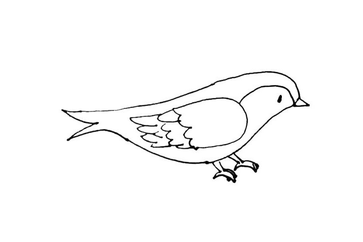 步骤8：再画上两只爪子，用弧线来表示。