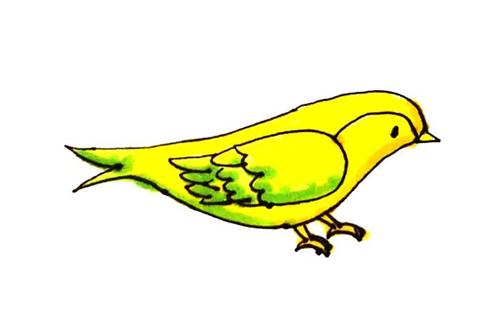 黄鹂简笔画画法步骤