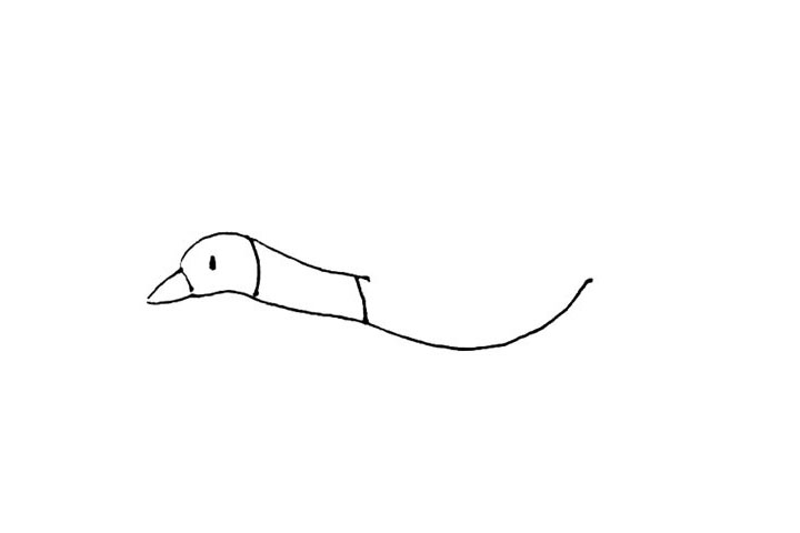 步骤2：给大雁画上眼睛和脖子上的纹样。