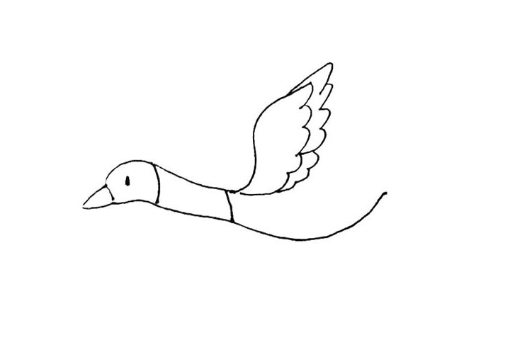 步骤4：接着用同样的画法画上第二层羽毛，但要更大一些。