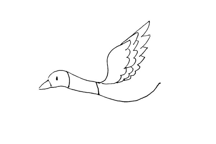 步骤5：再用相同的画法画上第三层羽毛，就画好了一边的翅膀了。