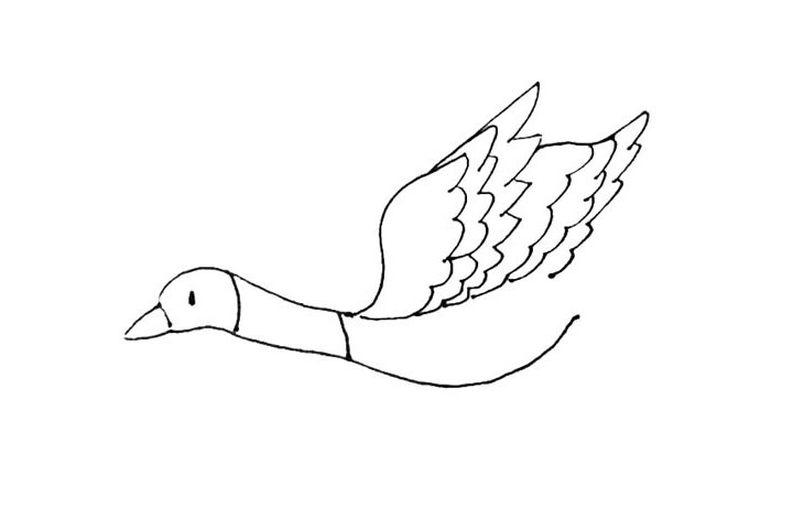 步骤6：用上面画翅膀的方法在后面画上第二个翅膀。