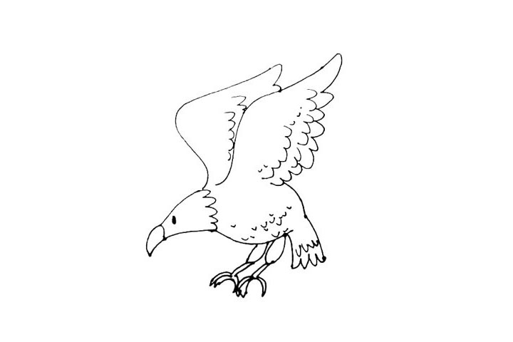 步骤8：在老鹰的身体上，画上一些小弧线和点点增加羽毛的细节，也可不画。