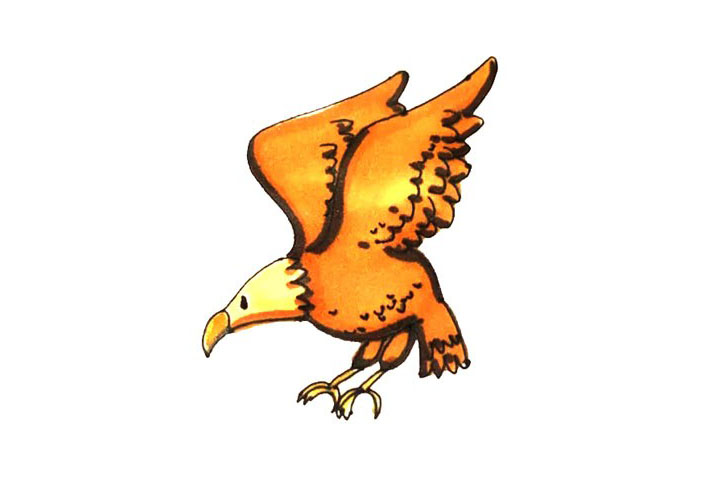 老鹰简笔画画法教程