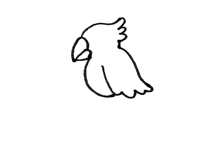 步骤5：然后用弧线画出翅膀的感觉，翅膀下面要用小弧线表示羽毛。