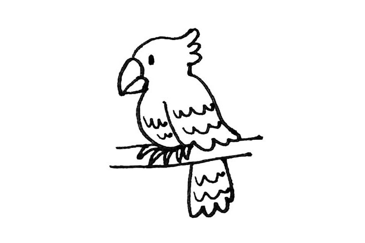 步骤9：点上眼睛，再用短弧线画出羽毛的装饰。