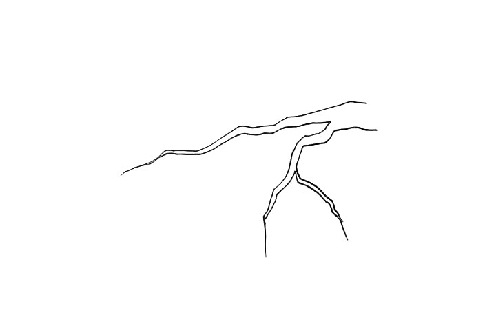 步骤4：同学们要仔细观察树枝的形状和结构。