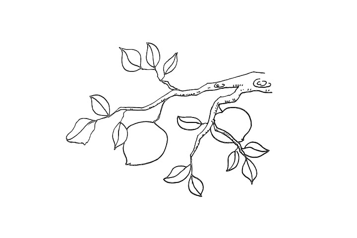 步骤10：接着用点和线画出树枝上面的纹理。