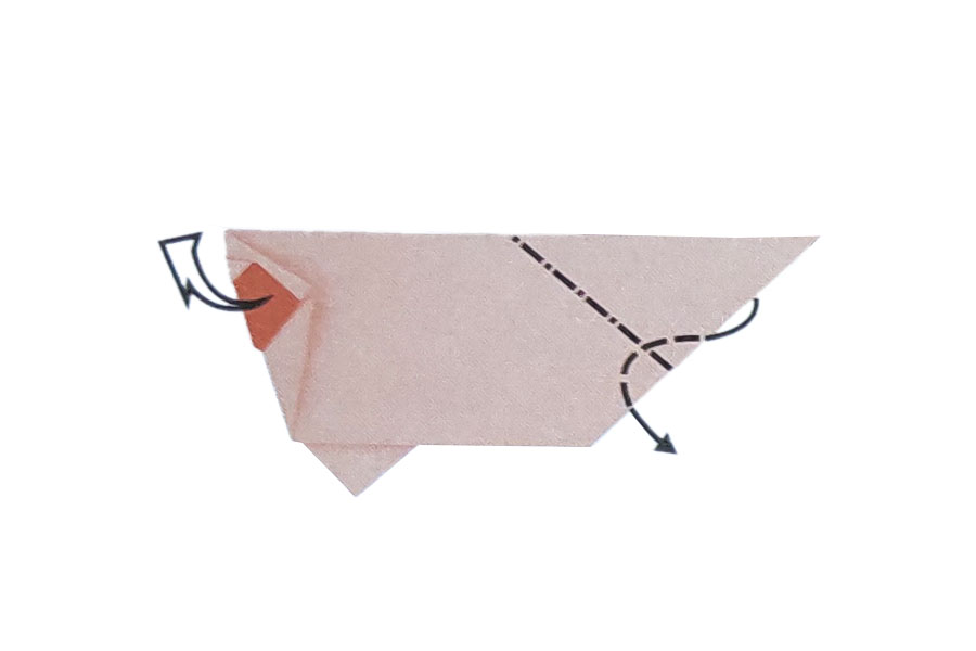 步骤11：将第一层朝箭头方向拉出头部;沿峰线向内翻折。