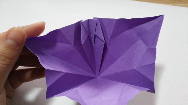 步骤9：然后把顶端的2道折痕往里对折，折出三角，再把三角往下对折，其实就是跟纸张没有全部打开是一样的，只不过这里我们由原来的方向在外面变到方向在里面。