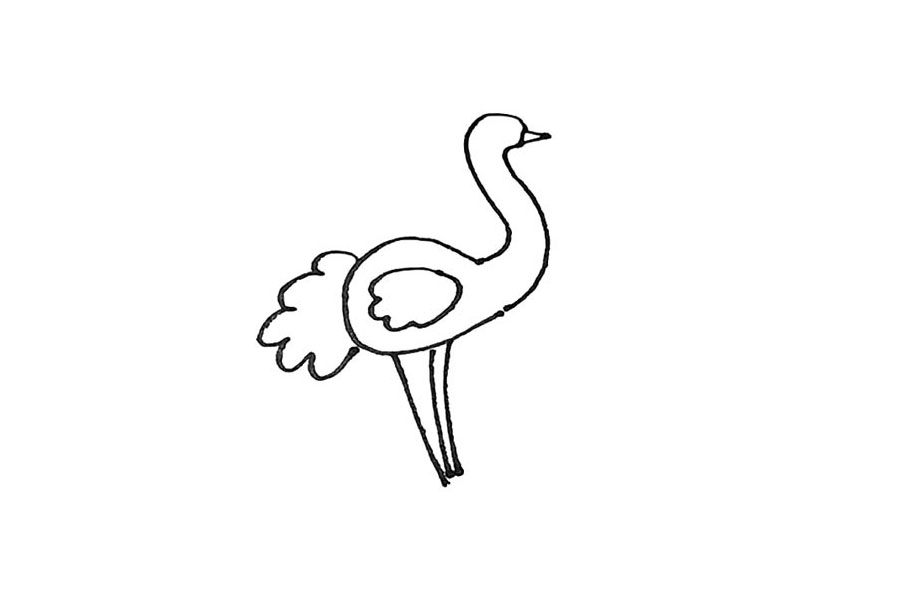 步骤6：身子下面，画上三条竖线作为腿。