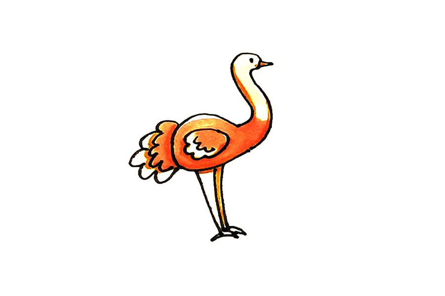 鸵鸟简笔画画法步骤