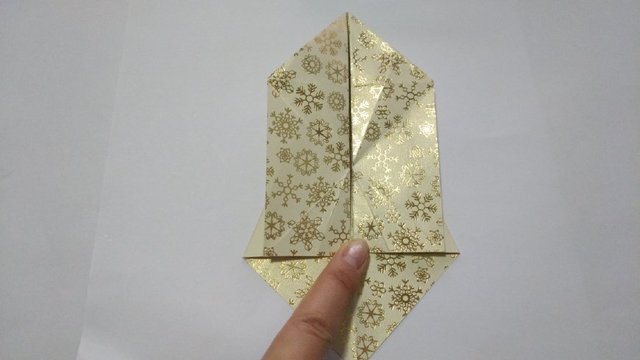 步骤10：左右2边纸张对折好就是图上的样子。