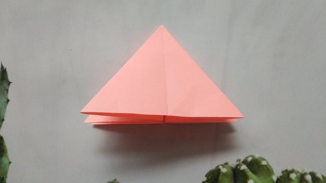 步骤9：把纸张沿着折痕对折成三角形的样子。如果不知道怎么折的，看下我拍的图片。