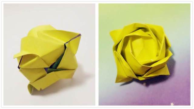 步骤8：把顶部的小三角沿着折痕折到后面去，然后另外3面也是同样的往后折，注意一个压一个，然后最后的那个角插到最开始的那个角里面，这样川崎玫瑰的花朵底部就固定好了，接着翻到正面，把花朵的4条边轻轻的整理一下，翻到外面来。