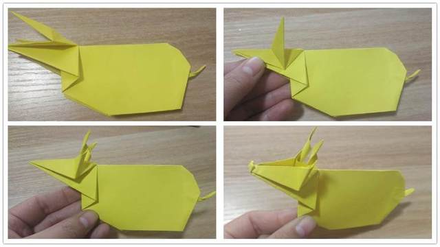 步骤5：前面那个小角折好后，把纸张翻到右面对齐后面的，这样金牛的屁股就折出来了，然后把尾巴折细，折出弯度来。接着来做金牛的2个犀角，先把金牛的角往左对折，然后逆时针转耳朵，自己塑个形，反面也一样对称折，这样金牛的一对犀角就做好了。最后把金牛的嘴巴往上翻折2次，形成一个卷鼻的样子。