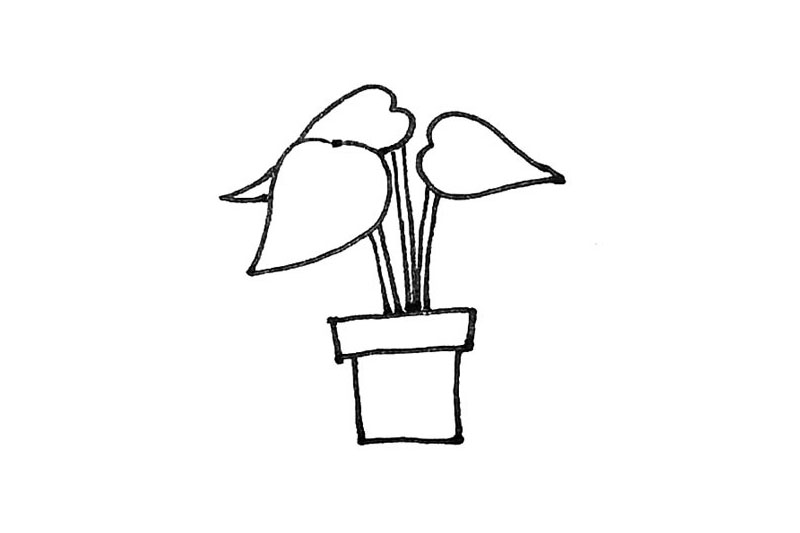 步骤4：用竖线将叶子和花盆连接起来。