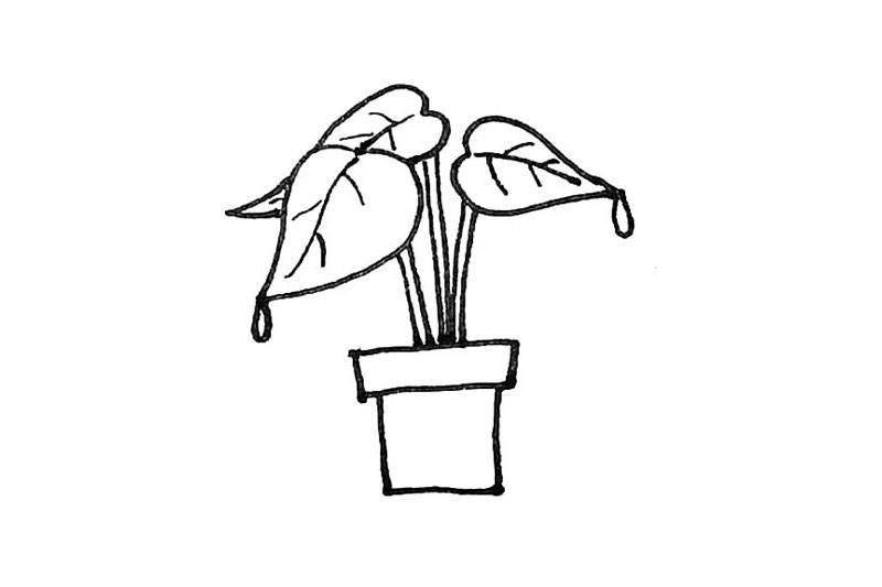 步骤5：接着再用弧线画出叶子的纹路以及叶尖的水滴。