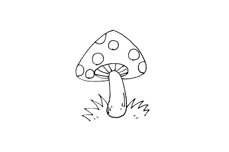 步骤5：蘑菇的周围，用小折线来画上一些的青草。