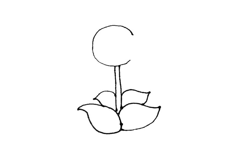 步骤3：在竖线的上面，画上一个大的半圆，有点像字母“C”。