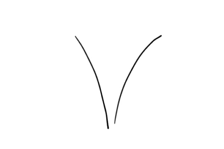 步骤1：首先画出花柄。