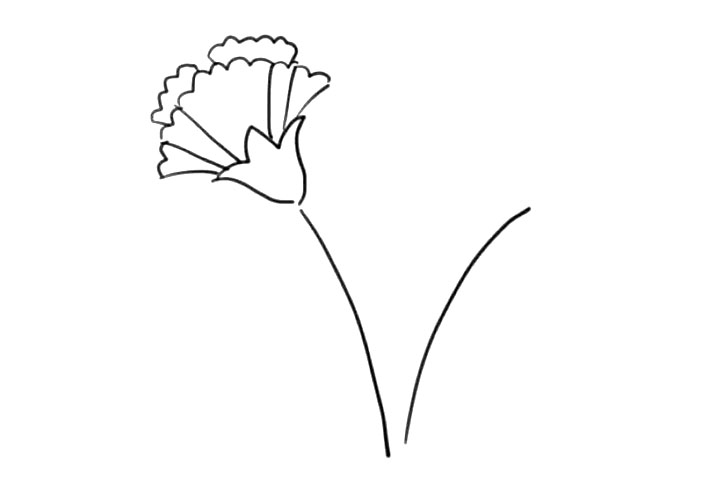 步骤3：画出它的花瓣。