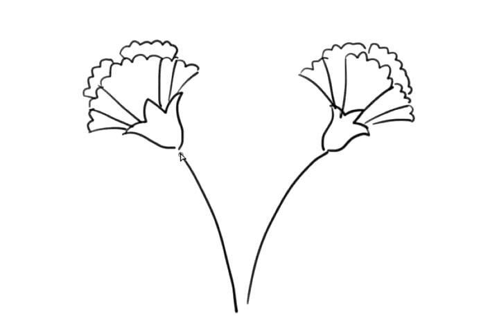 步骤4：然后画出它的另外一支花。