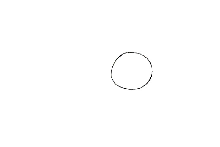 步骤1：首先画一个圆，作为向日葵的花盘。