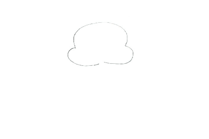 步骤1：先用铅笔勾画出仓鼠的脸部轮廓。