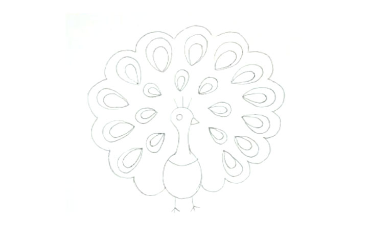 步骤4：在内部画出雨滴状的羽毛花纹。