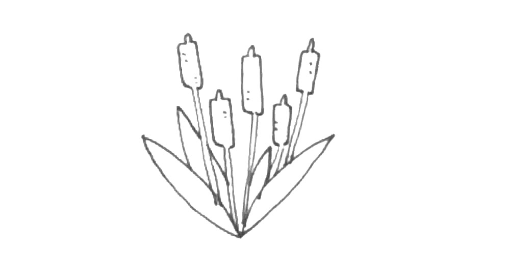 步骤5：接着再画上点装饰的点点。