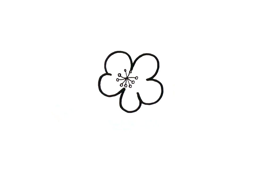 步骤2：接着画出它的花蕊。