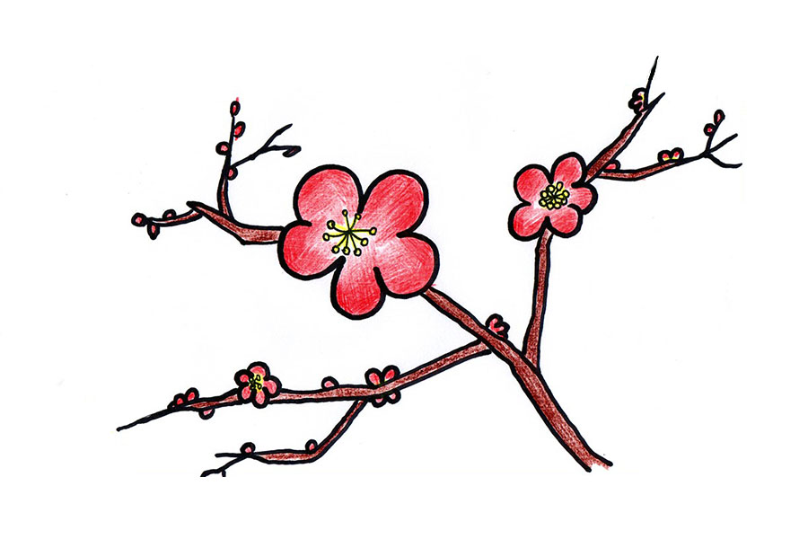 红梅简笔画怎么画