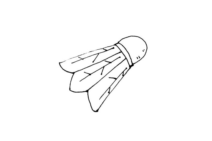 步骤6：在中线的左右两边，画上几条倾斜的线作为纹理，注意倾斜的角度和方向哦。