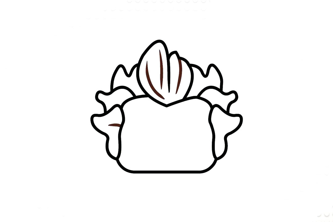 步骤1：首先我们画出它的脸部和头发的轮廓。